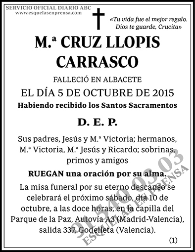 M.ª Cruz Llopis Carrasco